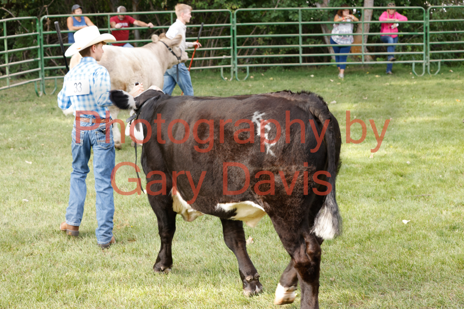 _MG_0060 (2)